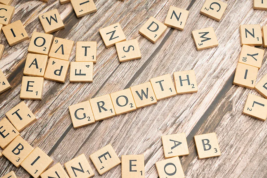 Wooden Puzzle Tiles Spell 'GROWTH'