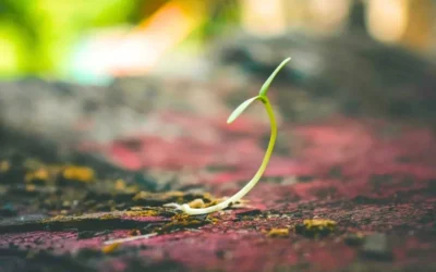 Top 5 Business Policies Every Growing Company Needs and How to Create Them